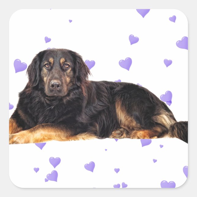Dog with Falling purple Hearts Square Sticker (Front)