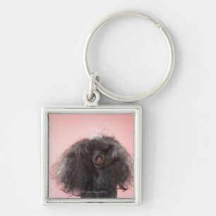 Dog with hair in front of face and tongue out key ring
