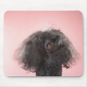Dog with hair in front of face and tongue out mouse pad