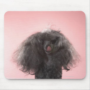 Dog with hair in front of face and tongue out mouse pad