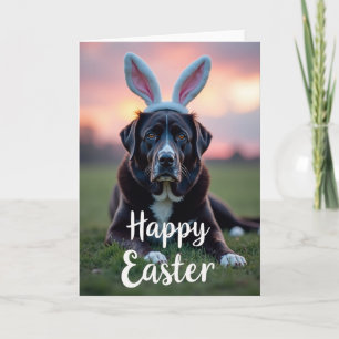 Dog With Hat Photo Greeting Card