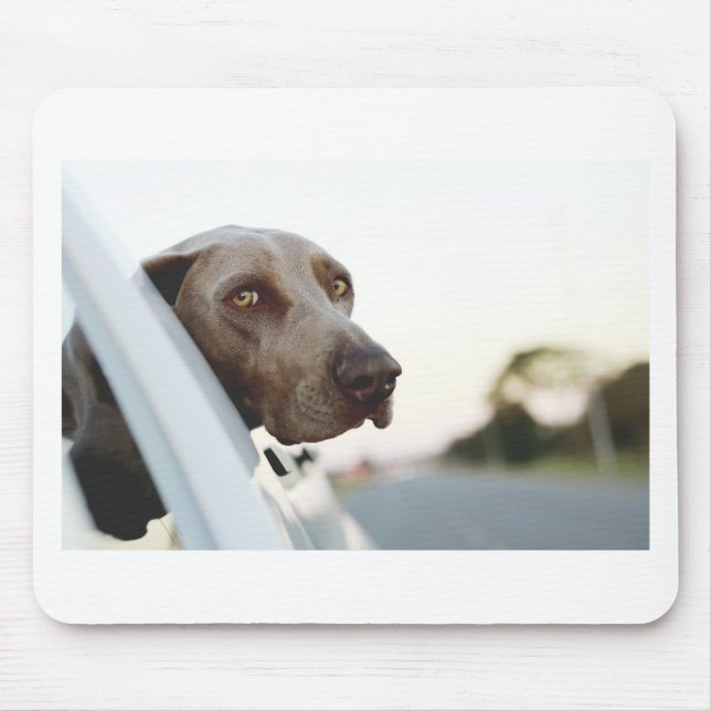 Dog with head out of a car window mouse pad (Front)