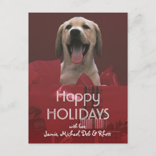 Dog with holiday gifts postcard