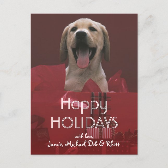 Dog with holiday gifts postcard (Front)