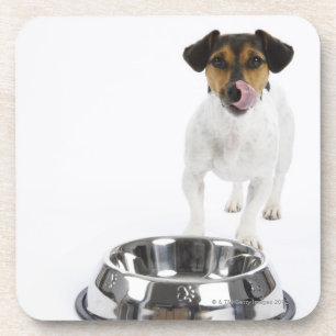Dog with Large Bowl Coaster