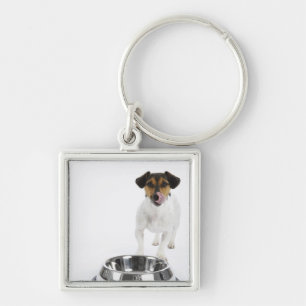 Dog with Large Bowl Key Ring
