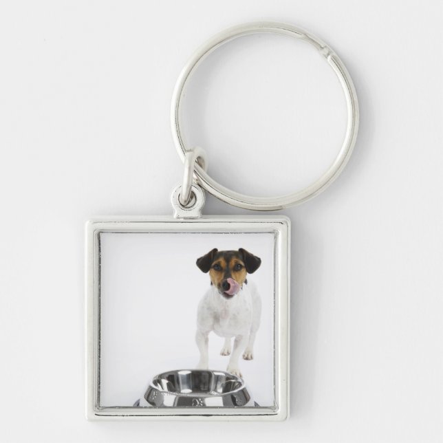 Dog with Large Bowl Key Ring (Front)