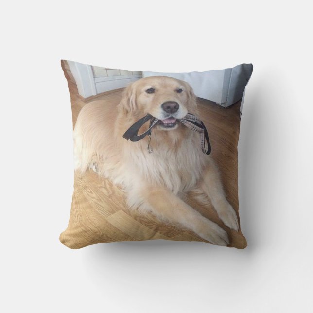 dog with leash cushion (Front)