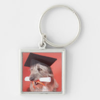 Dog with mortarboard and diploma
