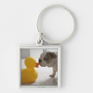 Dog with plastic duck key ring