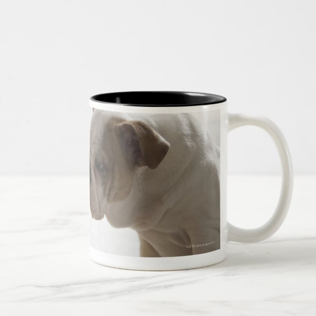 Dog with plastic duck Two-Tone coffee mug (Right)