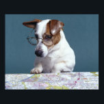 Dog with reading glasses studying map poster<br><div class="desc">Animals->Dog</div>