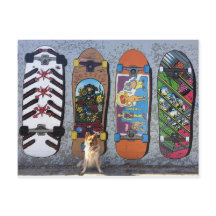 Dog with Skateboards Mural