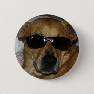 Dog with sunglasses 6 cm round badge