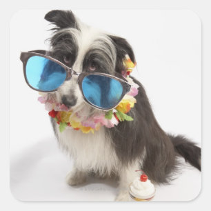 Dog with sunglasses and parfait square sticker