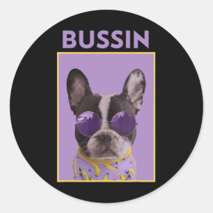 Dog With Sungles Bulldog Bussin  Classic Round Sticker