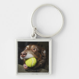 Dog with Tennis Ball Key Ring