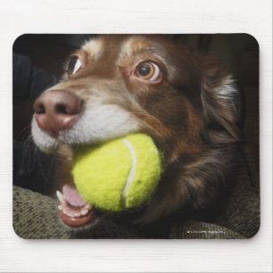 Dog with Tennis Ball Mouse Pad