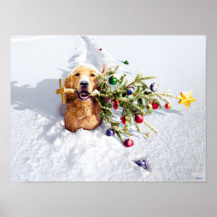 Dog With Tree In Snow Poster