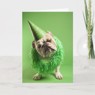 "Dog Years" Birthday Card