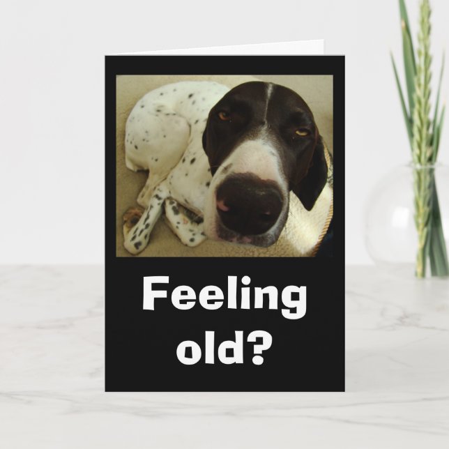 Dog years card (Front)