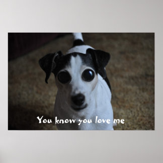 dog, You know you love me. Poster