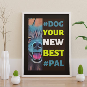 #Dog, your New Best #Pal ...Keeshond Poster
