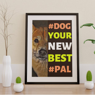 #Dog, your New Best #Pal ...Shiba Inu Poster