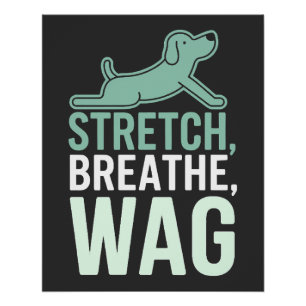 Doga Dog Yoga Pet Wellness Mindful Stretching Poster