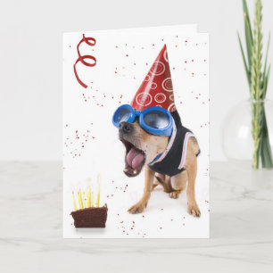 dogcake card