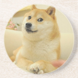 Doge Coaster