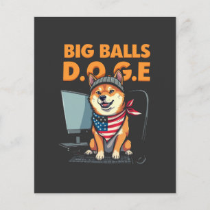 Doge epartment of government Efficiency Flyer