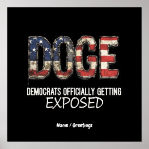 DOGE Is Making Democrats Officially Getting Expose Poster
