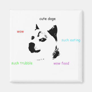 Doge Magnet