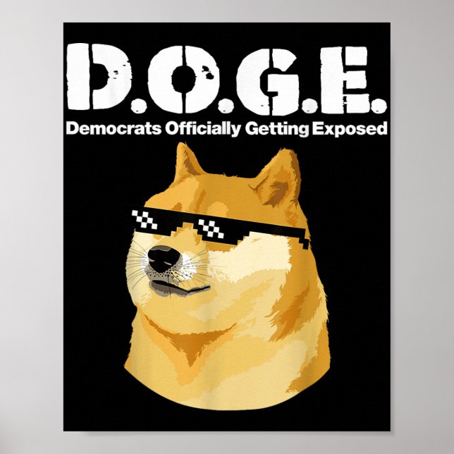 Doge Meme Democrats Officially Getting Exposed D.o Poster (Front)