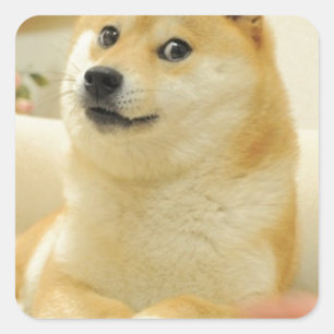 Doge Square Sticker