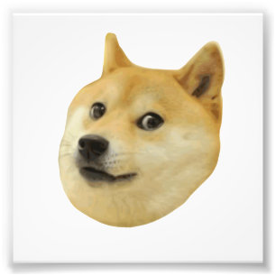 Doge Very Wow Much Dog Such Shiba Shibe Inu Photo Print