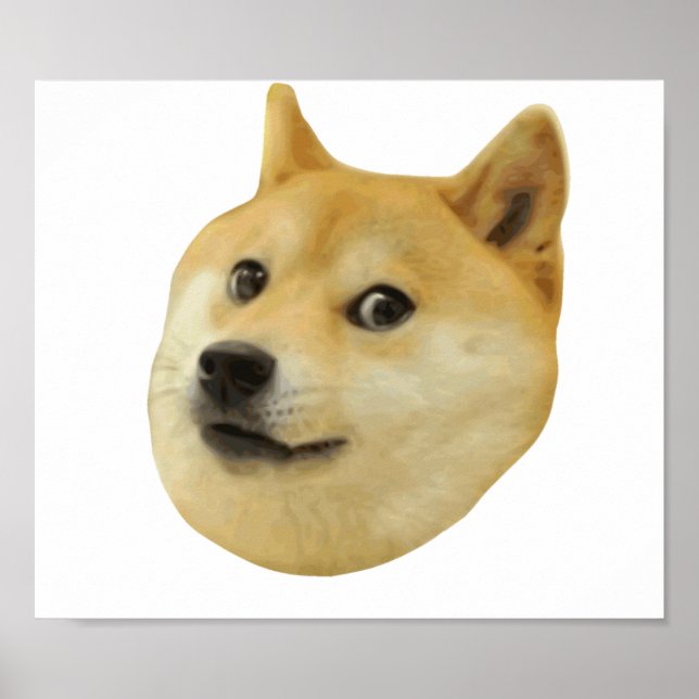Doge Very Wow Much Dog Such Shiba Shibe Inu Poster (Front)