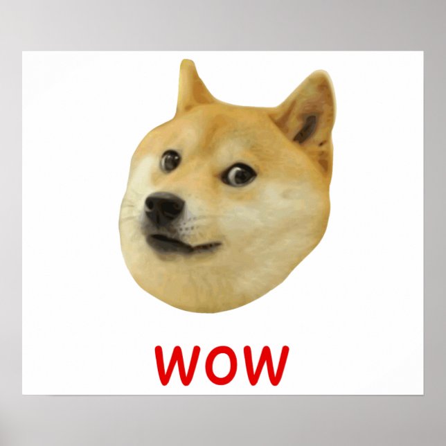 Doge Very Wow Much Dog Such Shiba Shibe Inu Poster (Front)