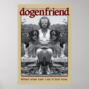 dogenfriend poster