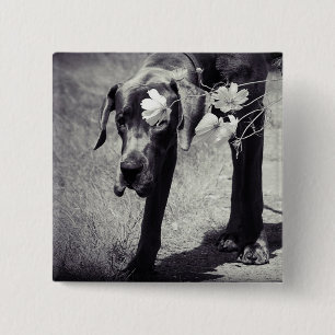 Dogge Balu 15 Cm Square Badge