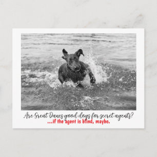 Dogge: the dog for secret agents english postcard