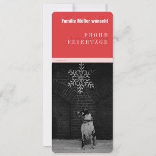 Doggen Ankündigungen