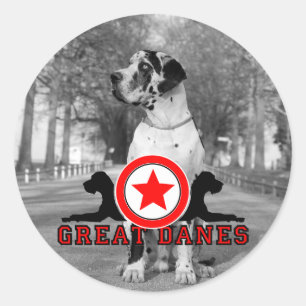 Doggenaufkleber Classic Round Sticker