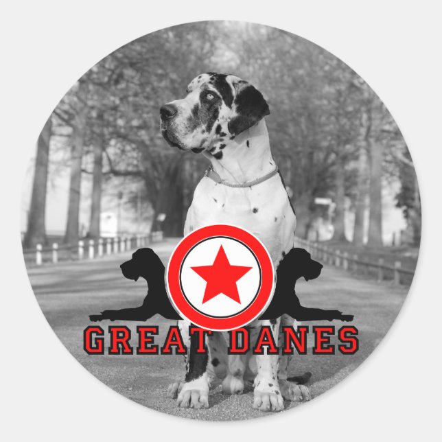 Doggenaufkleber Classic Round Sticker (Front)