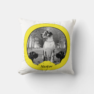 Doggenkissen extra cushion