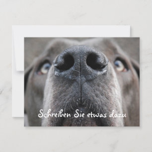Doggennase