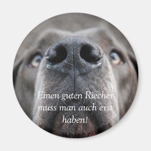 Doggennase, Einen guten Riechermuss man auch er... Magnet