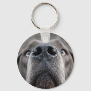 Doggennase Key Ring