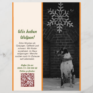 Doggenposter personalisierbar flyer